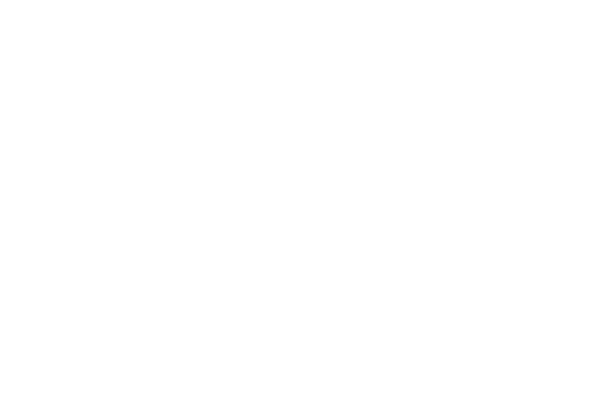 Surveillance, Communication & Intelligence - A-NSE